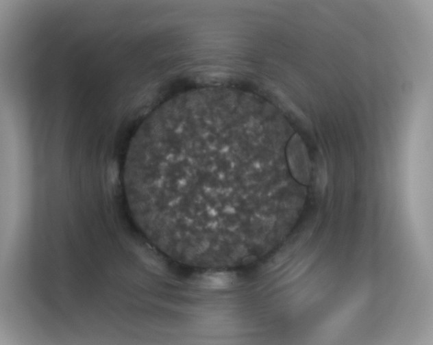 X0000113550711200909251038