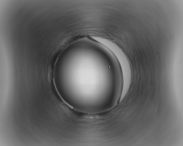 X0000113550712200909251038