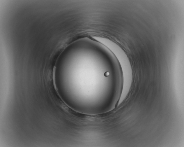 X0000113550713200909251038