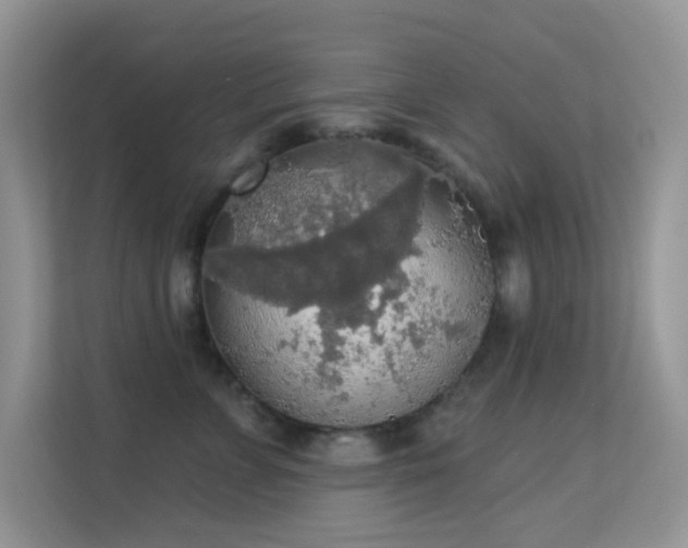 X0000113550715200909251038