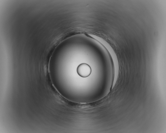 X0000113550716200909251038