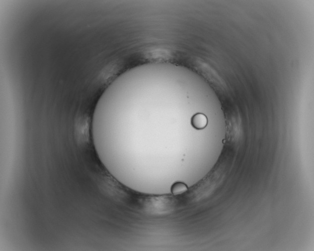 X0000113550717200909251038