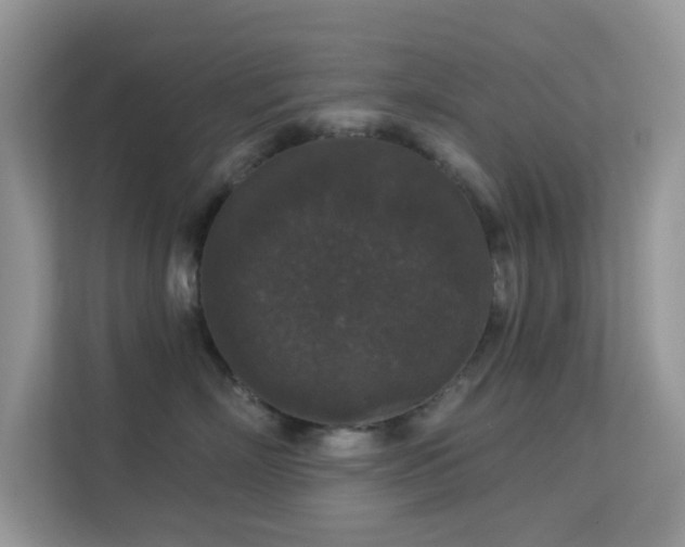 X0000113550718200909251038