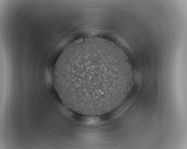 X0000113550719200909251038