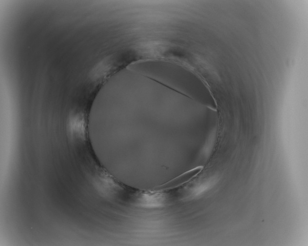 X0000113550720200909251038