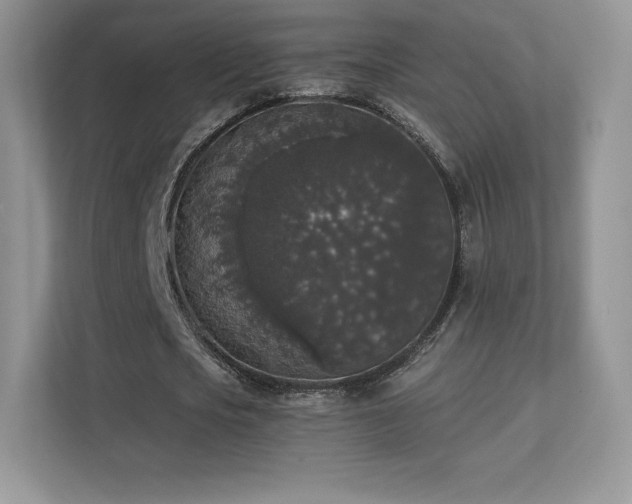 X0000113550721200909251037