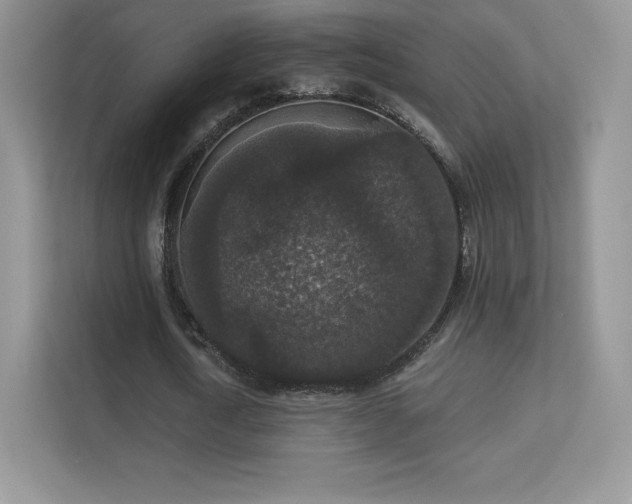 X0000113550722200909251037