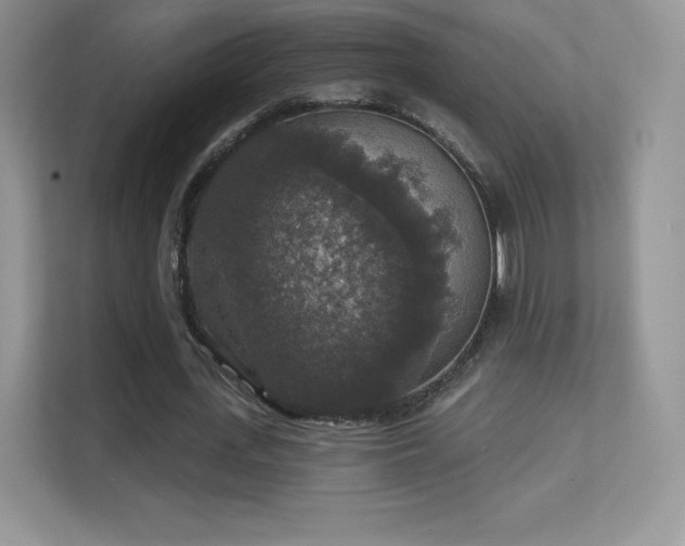 X0000113550723200909251037