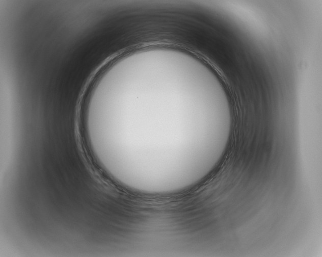 X0000113550724200909251037