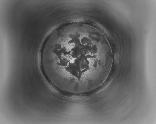 X0000113550725200909251037