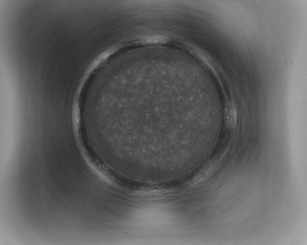 X0000113550726200909251037