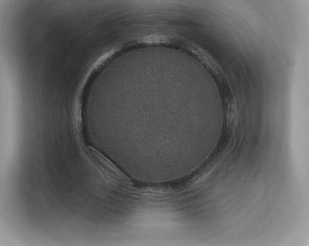 X0000113550727200909251037