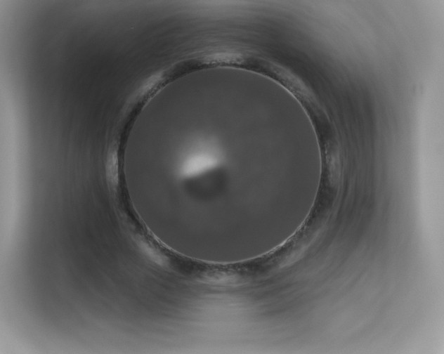 X0000113550729200909251037