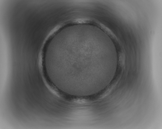 X0000113550730200909251037