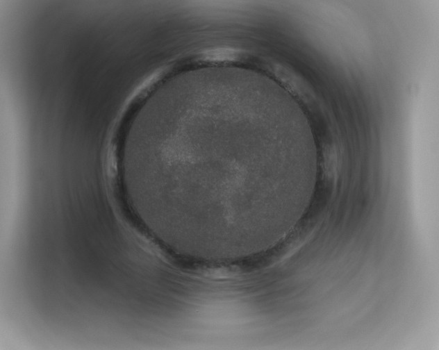 X0000113550731200909251037