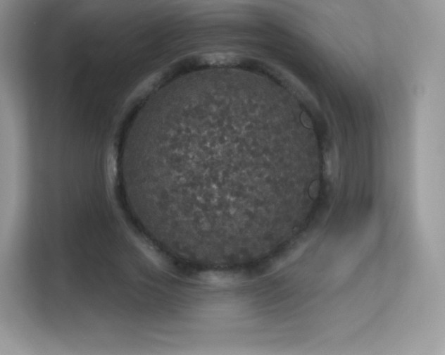 X0000113550733200909251037