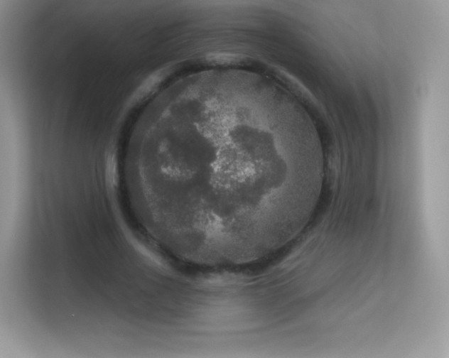 X0000113550734200909251037