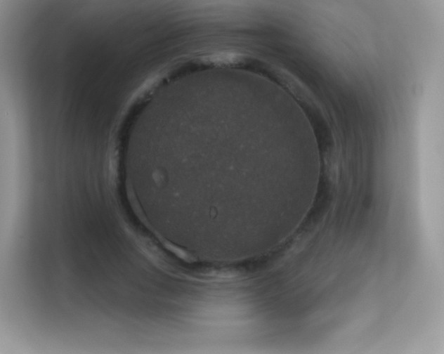 X0000113550735200909251037