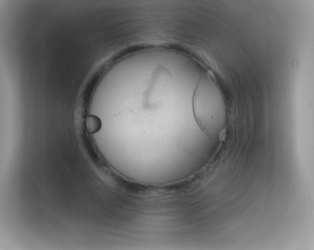 X0000113550736200909251037