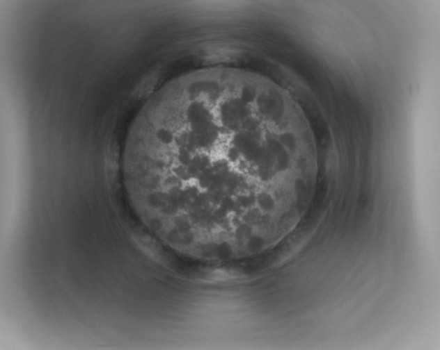 X0000113550737200909251037