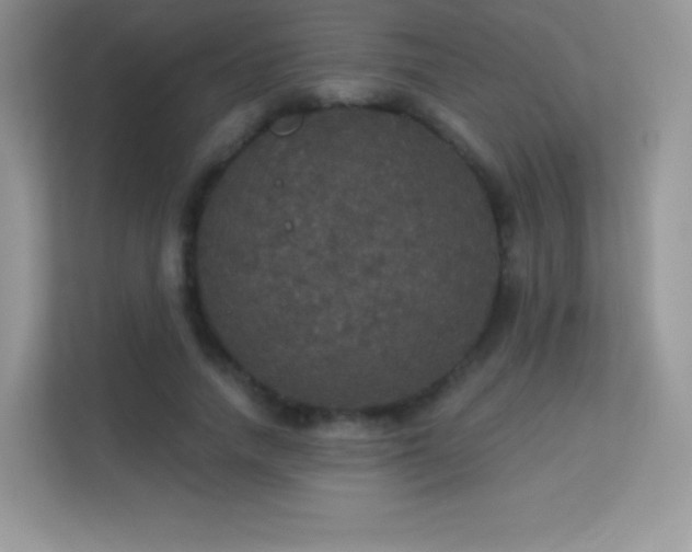 X0000113550738200909251037