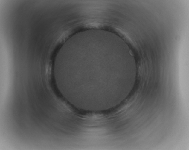 X0000113550739200909251037