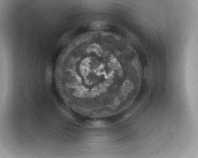 X0000113550741200909251037