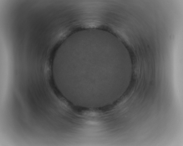 X0000113550743200909251037