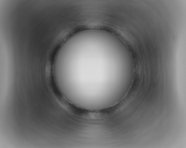 X0000113550744200909251037