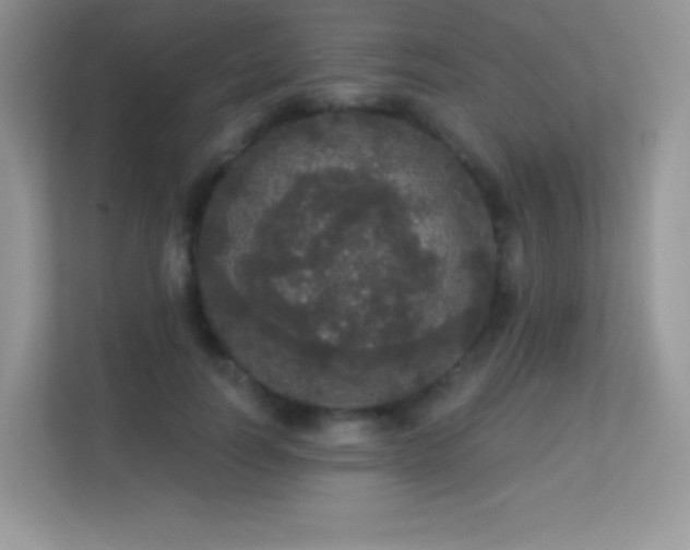 X0000113550746200909251037