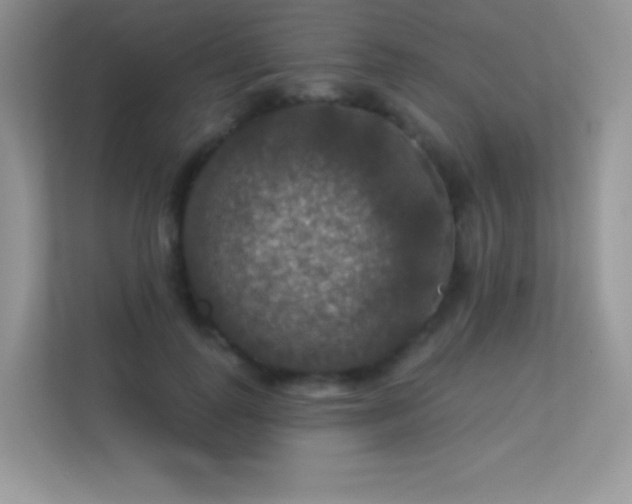 X0000113550747200909251037