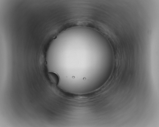 X0000113550748200909251037