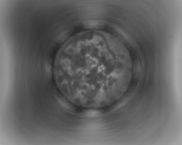 X0000113550749200909251037