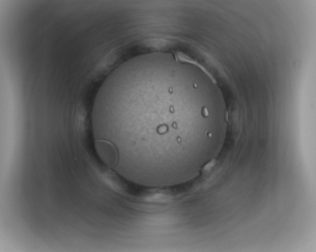 X0000113550750200909251037