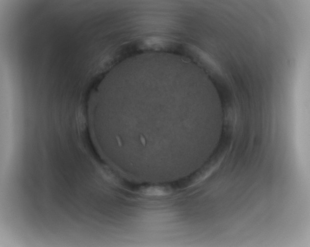 X0000113550751200909251037