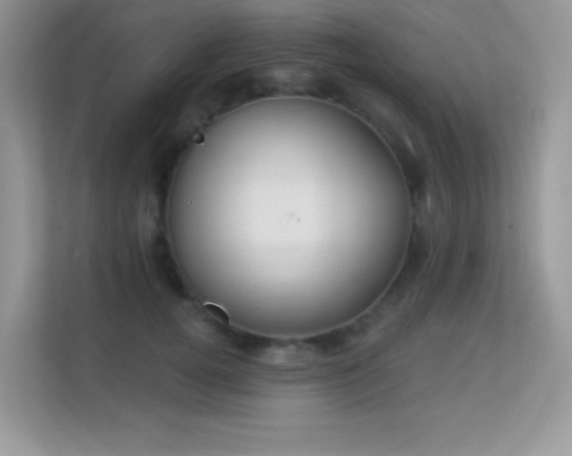 X0000113550752200909251037