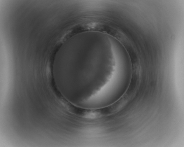 X0000113550754200909251037