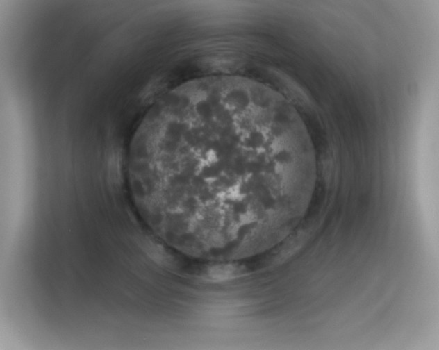 X0000113550757200909251037