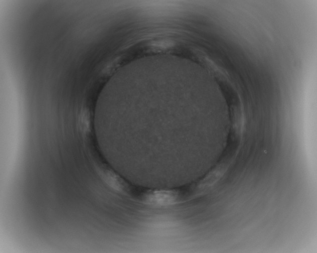 X0000113550758200909251037