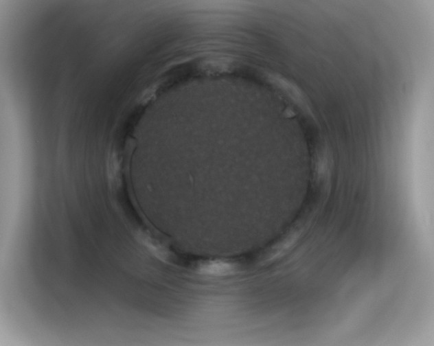 X0000113550759200909251037