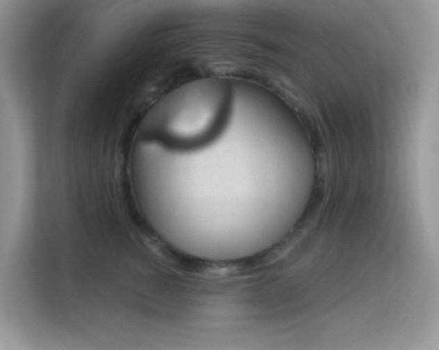 X0000113550760200909251037