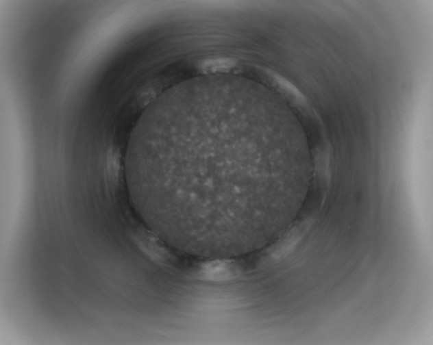 X0000113550761200909251037