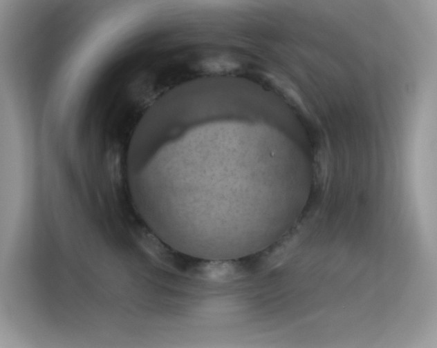 X0000113550762200909251037