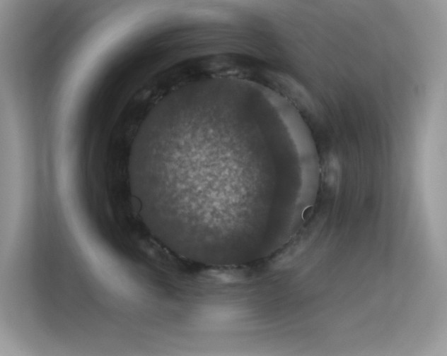 X0000113550763200909251038