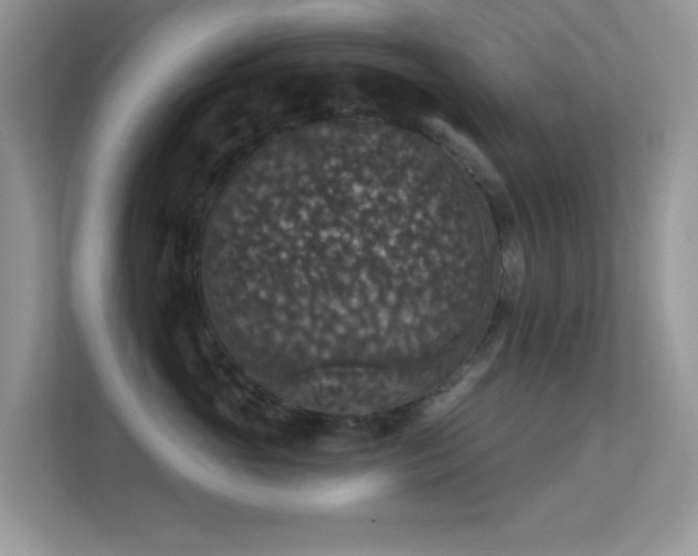 X0000113550765200909251038