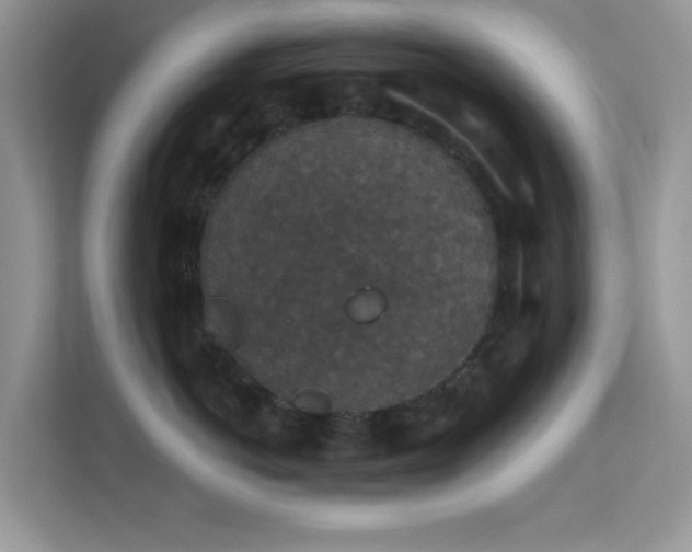 X0000113550766200909251038