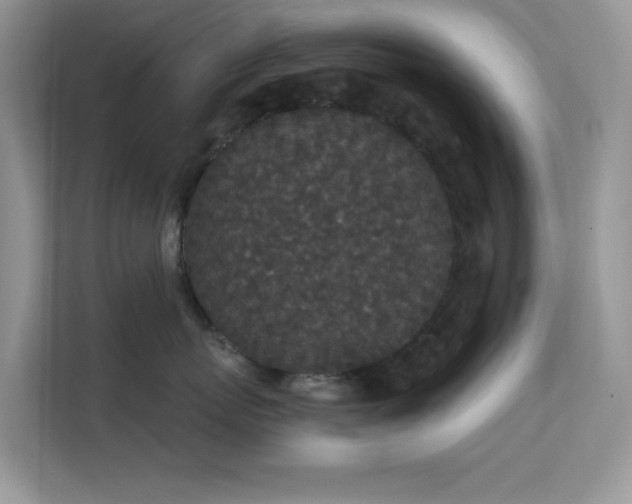 X0000113550767200909251038