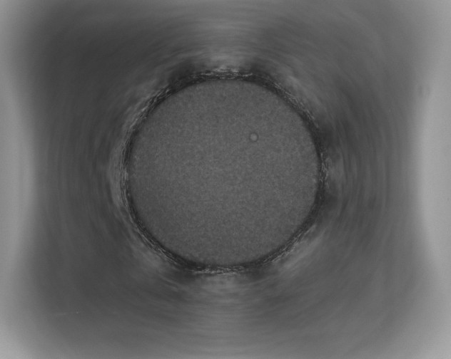 X0000113550769200909251037