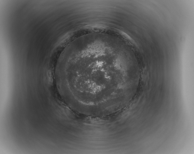 X0000113550774200909251037