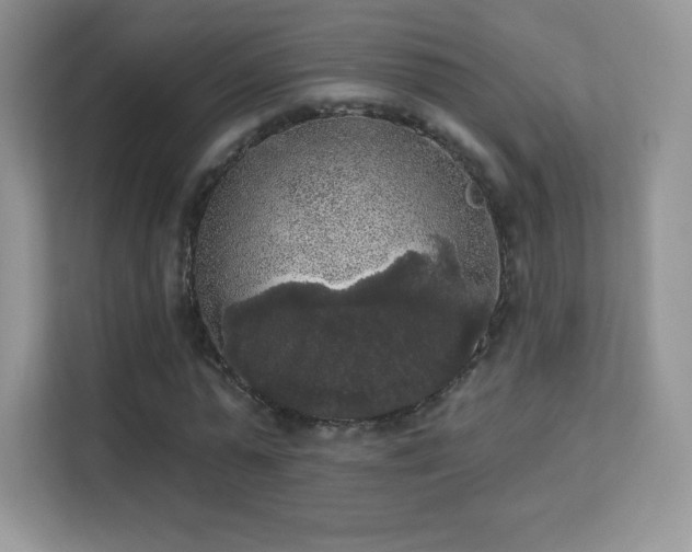 X0000113550775200909251037